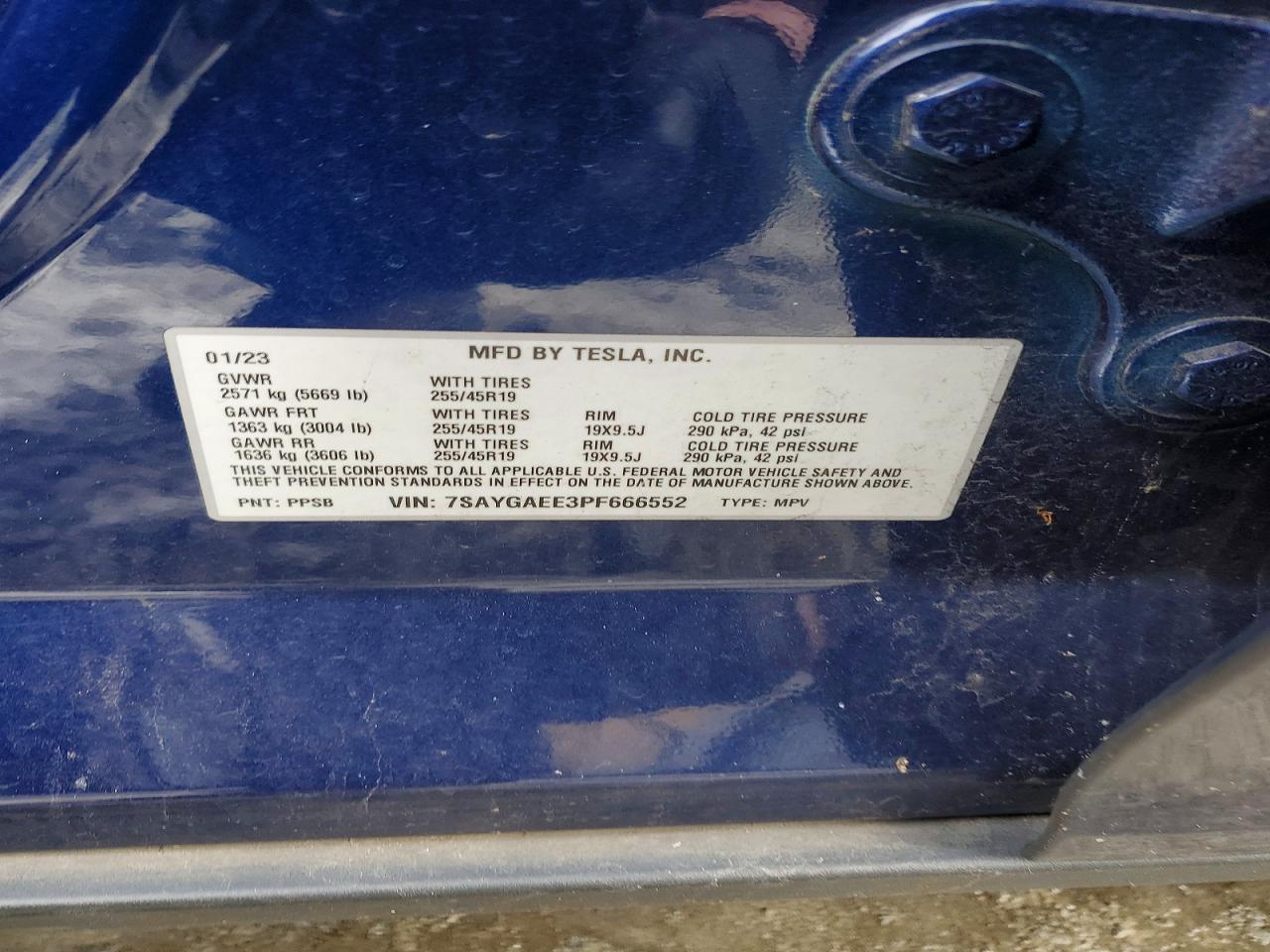 Tesla Model Y