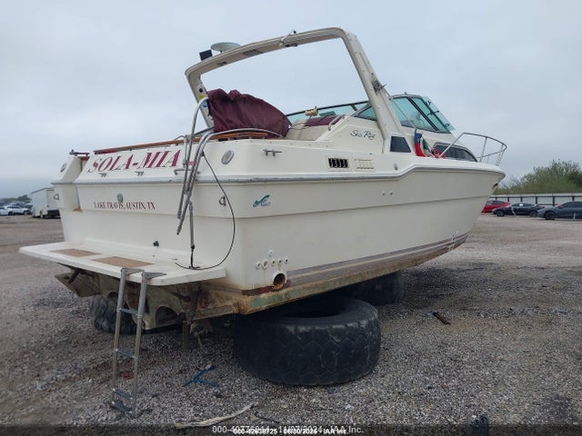 Sea Ray Other