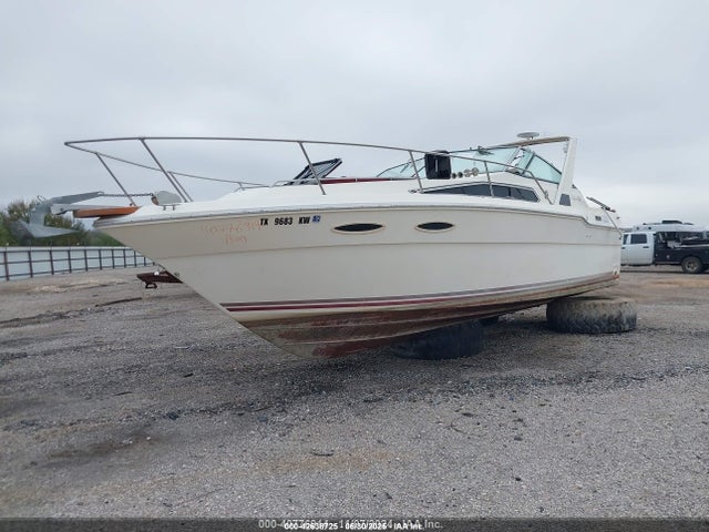 Sea Ray Other
