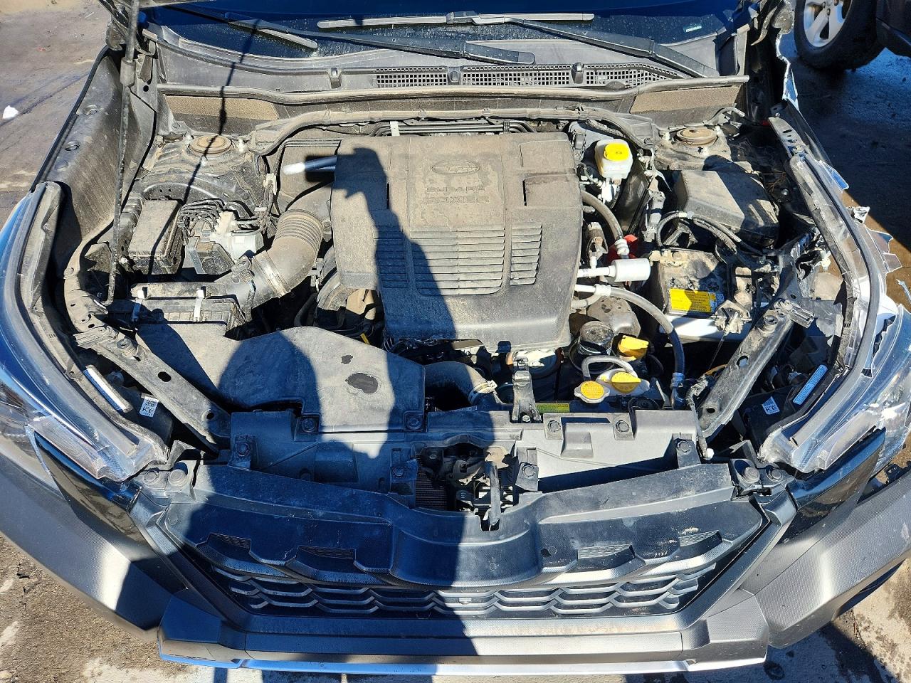 Subaru Forester Wilderness