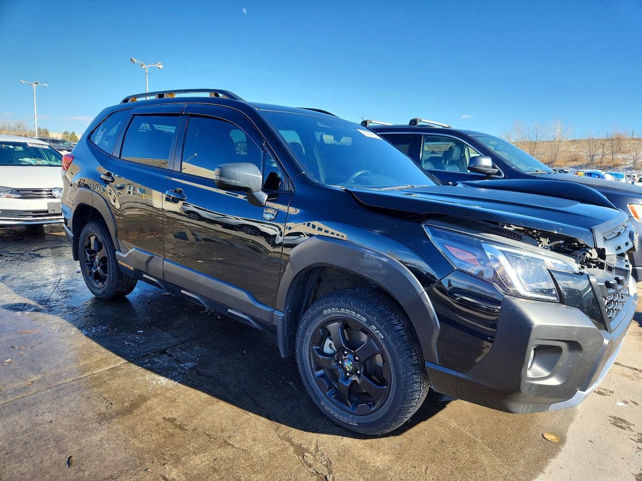 Subaru Forester Wilderness