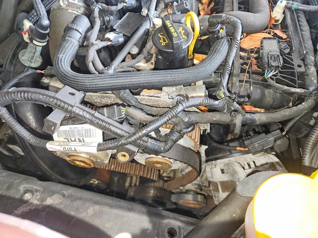 Ford Escape Sel
