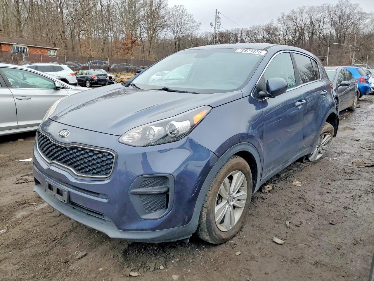 Salvage Kia Sportage Image