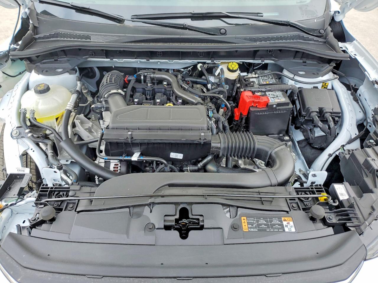 Ford Escape Active