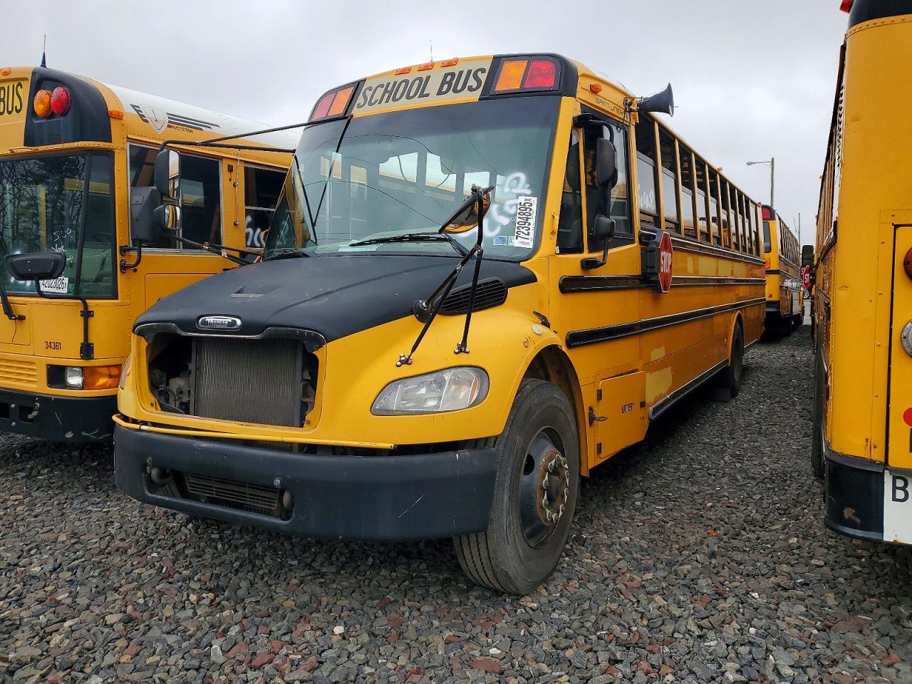 Bus Thomas