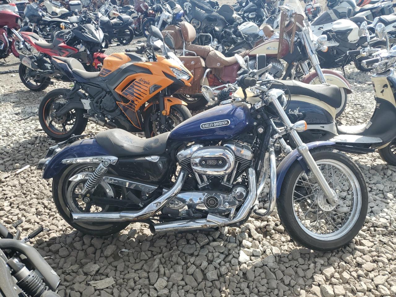 Salvage Harley-Davidson Xl1200 L Image