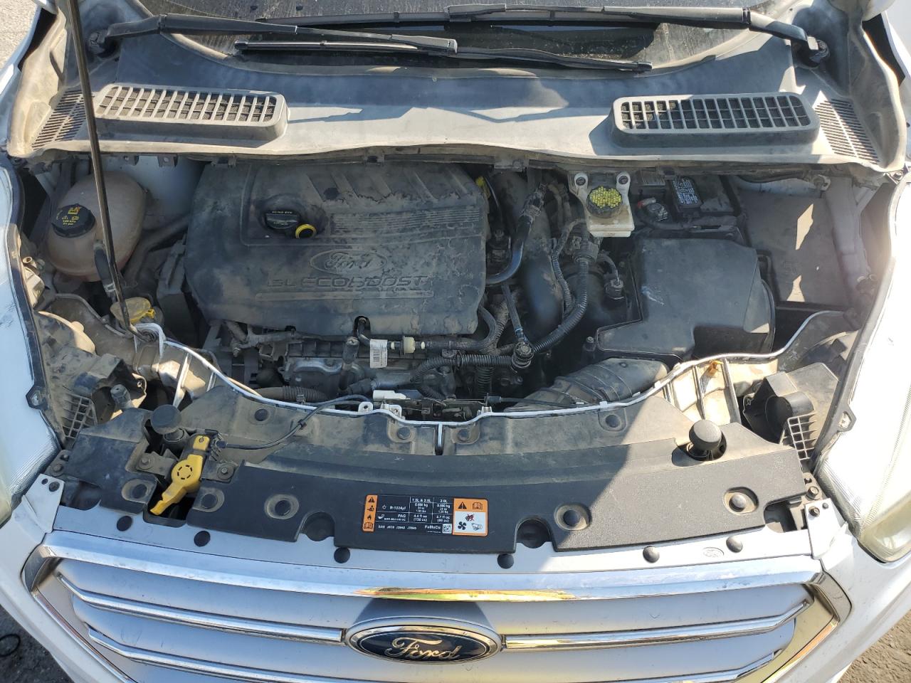 Ford Escape Se