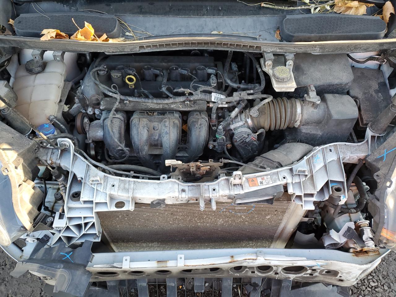 Ford Transit Xl