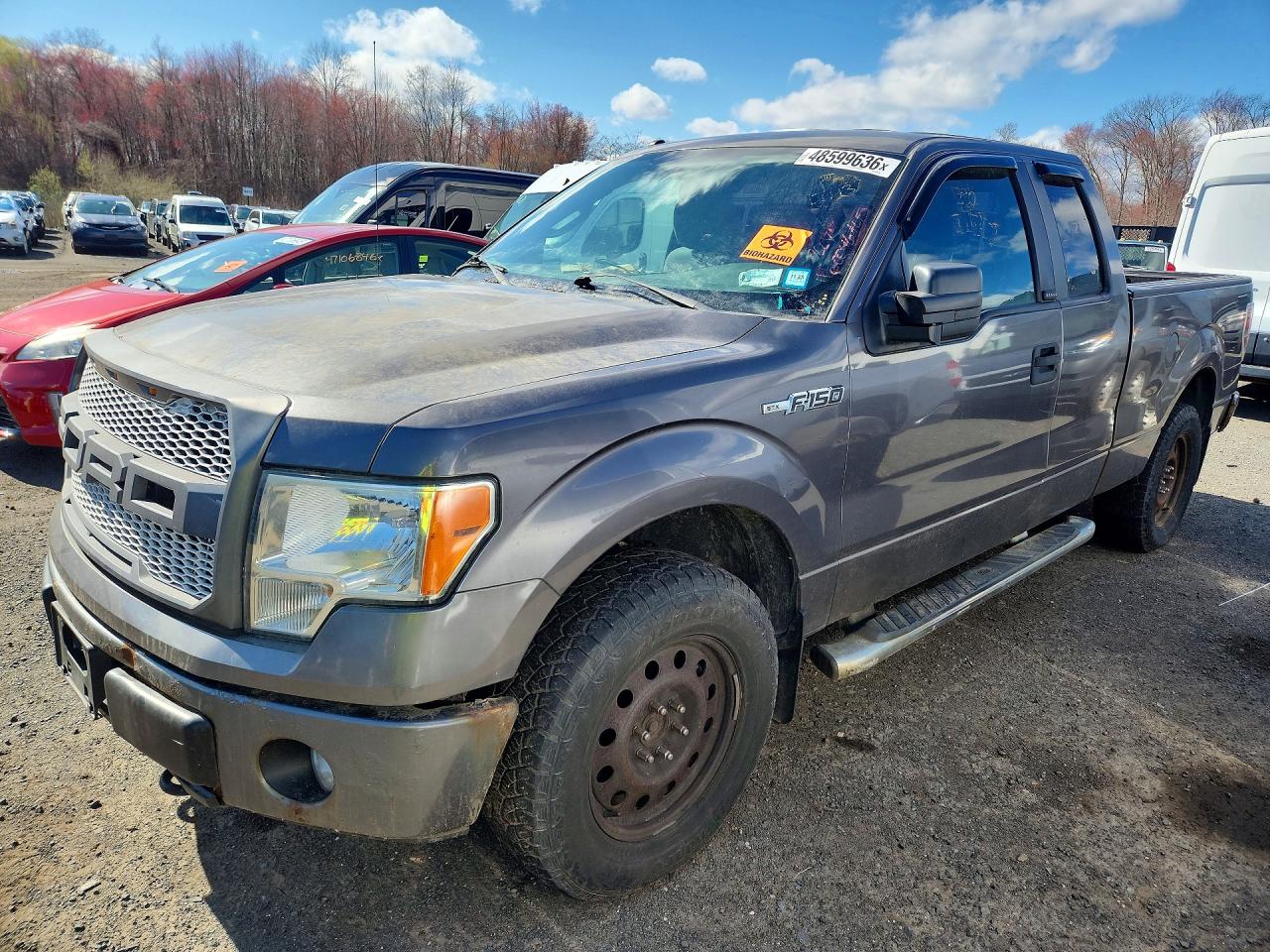 Salvage Ford F-150 Image