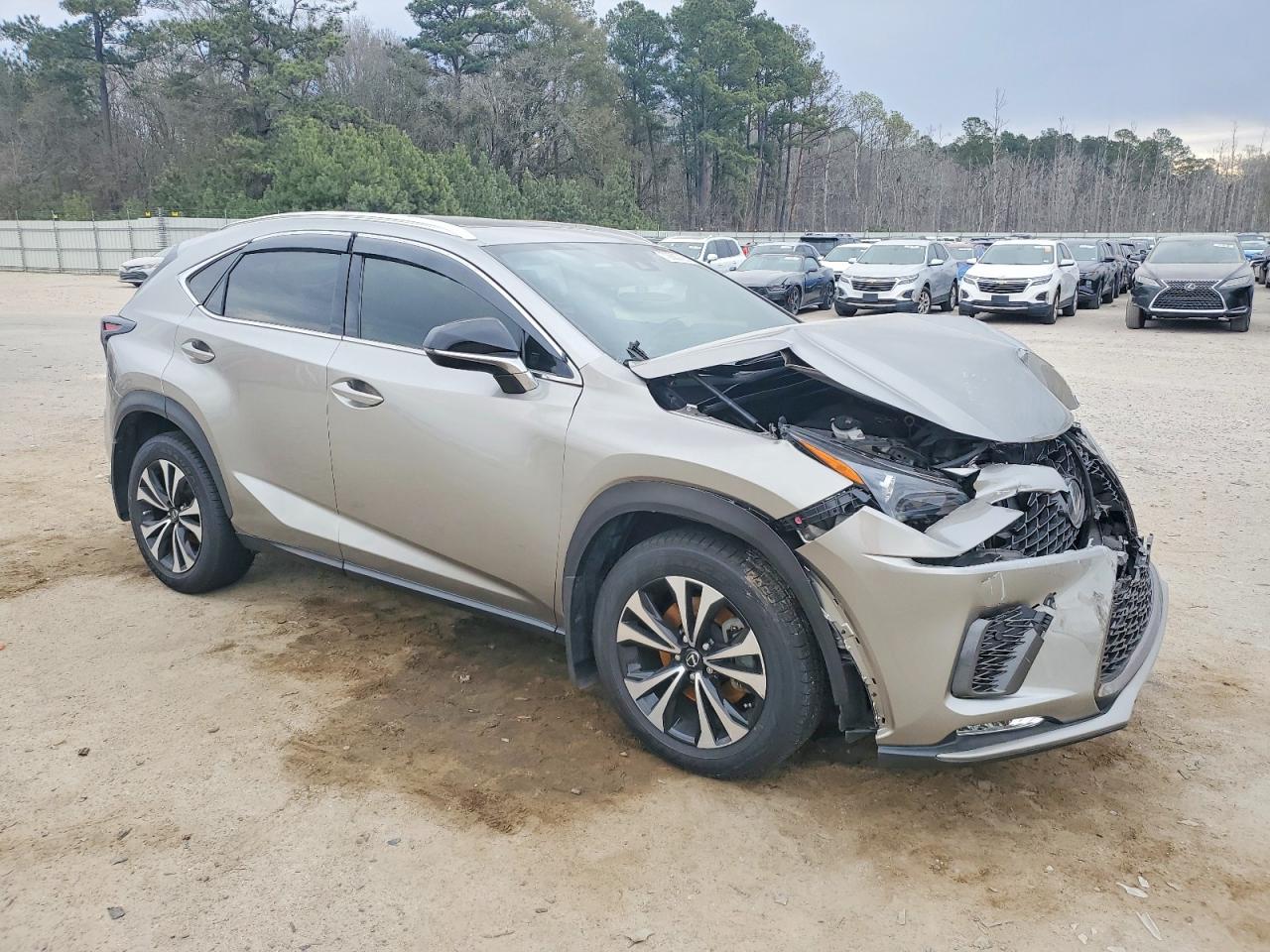 Lexus NX 300 F Sport