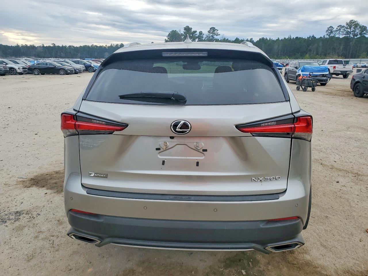 Lexus NX 300 F Sport