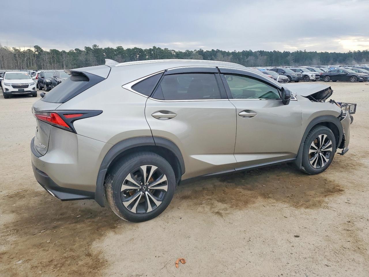 Lexus NX 300 F Sport