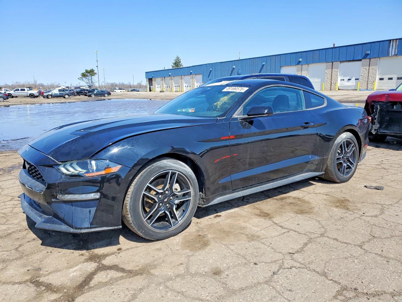 Salvage Ford Mustang Image