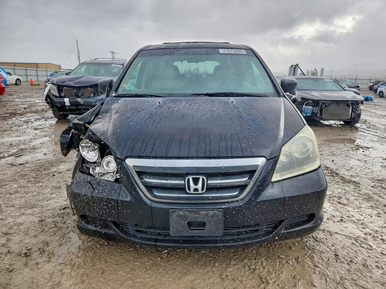 Honda Odyssey Exl