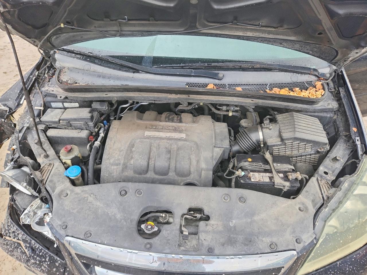 Honda Odyssey Exl