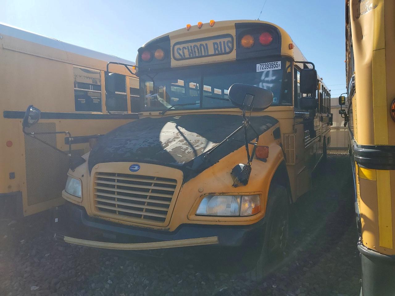 Blue Bird School Bus