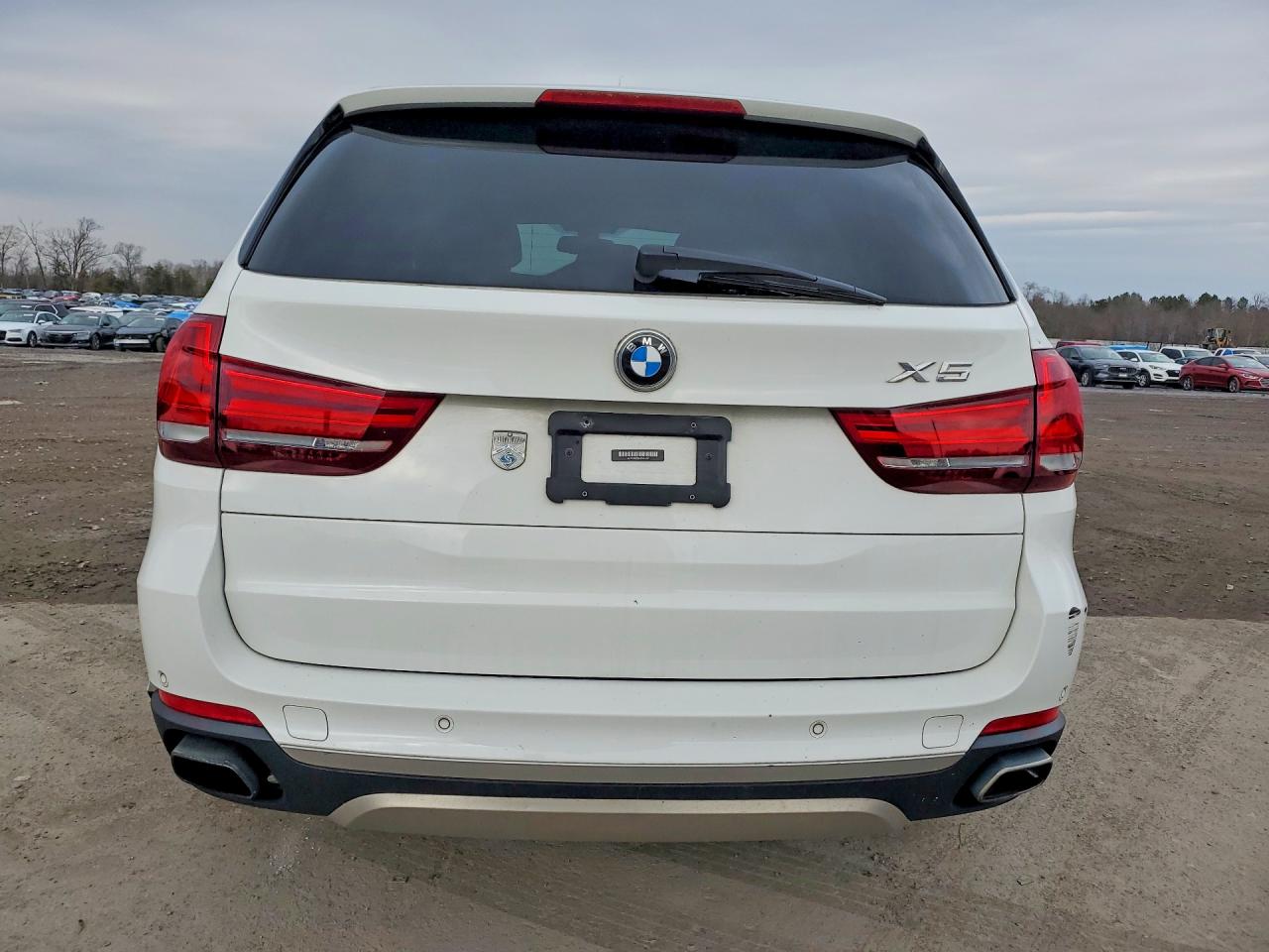 BMW X Series Xdr40e