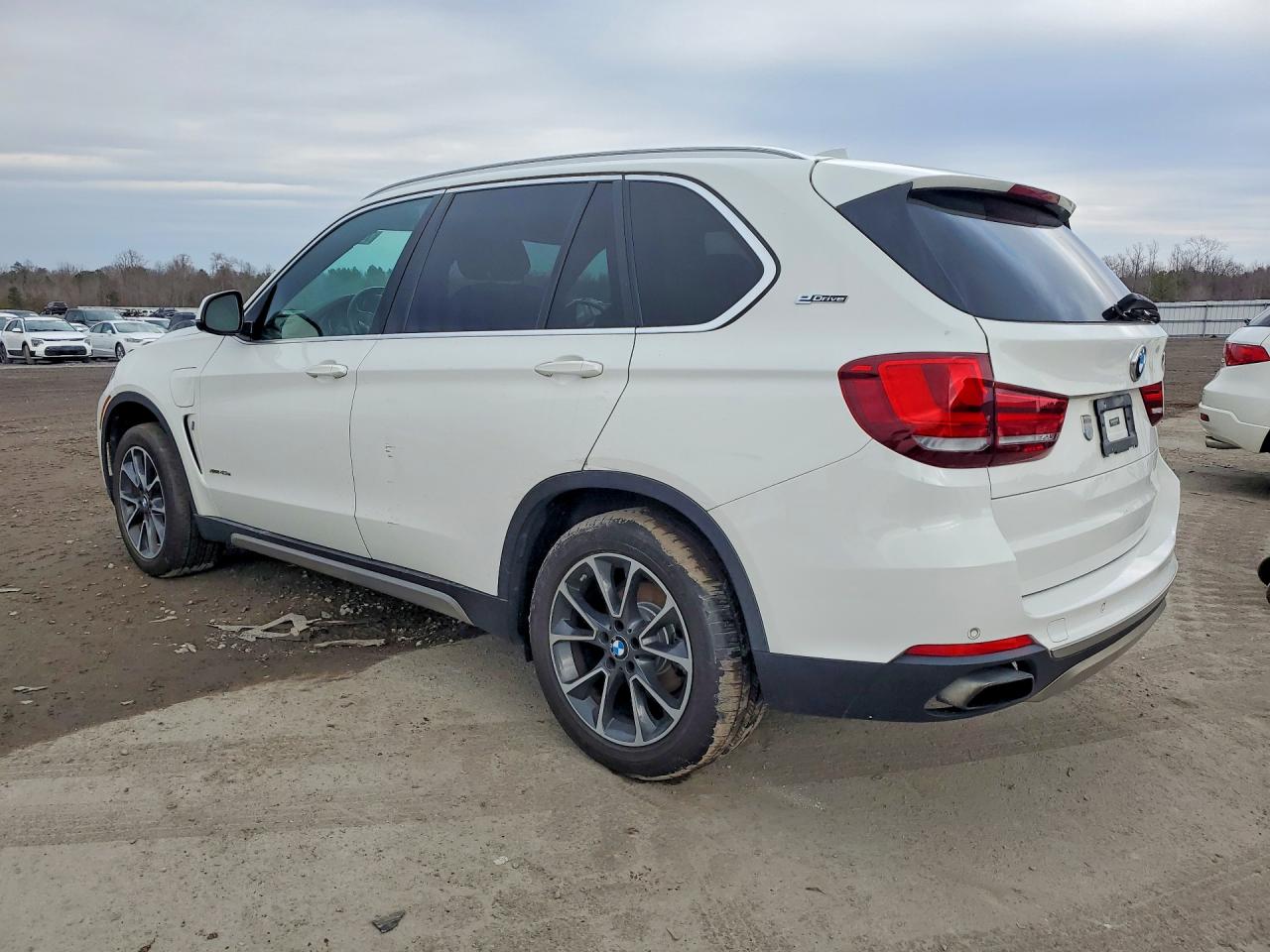 BMW X Series Xdr40e