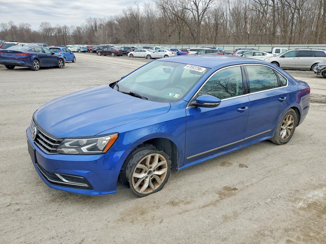 Salvage Volkswagen Passat Image