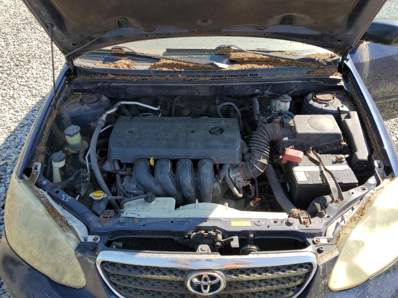 Toyota Corolla Ce