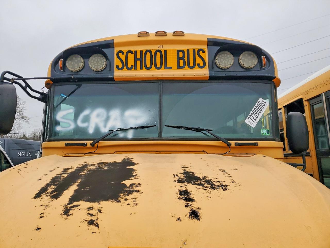 Blubird School Bus Transit Bus