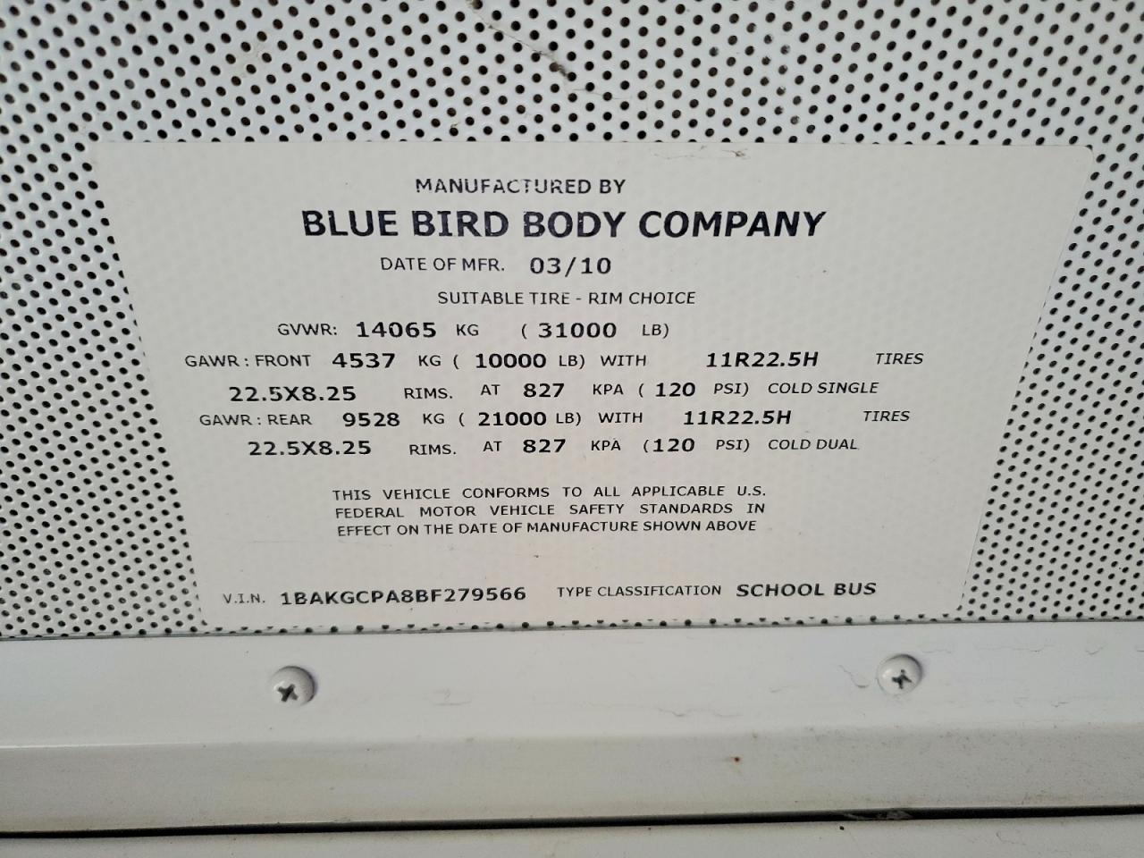 Blubird School Bus Transit Bus