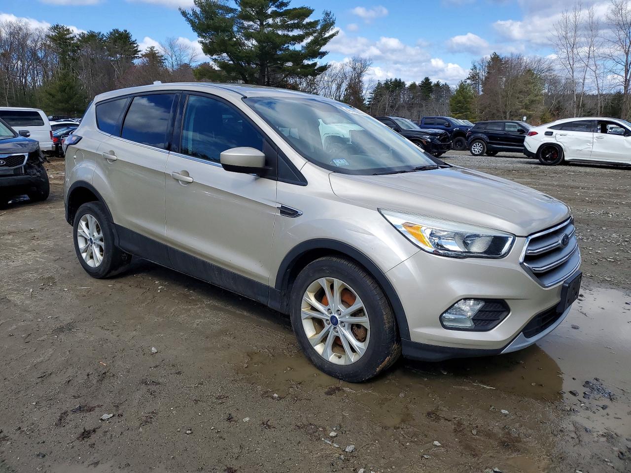 Ford Escape Se