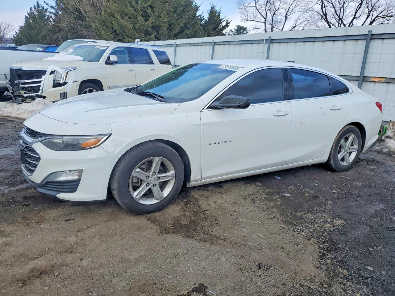 Salvage Chevrolet Malibu Image