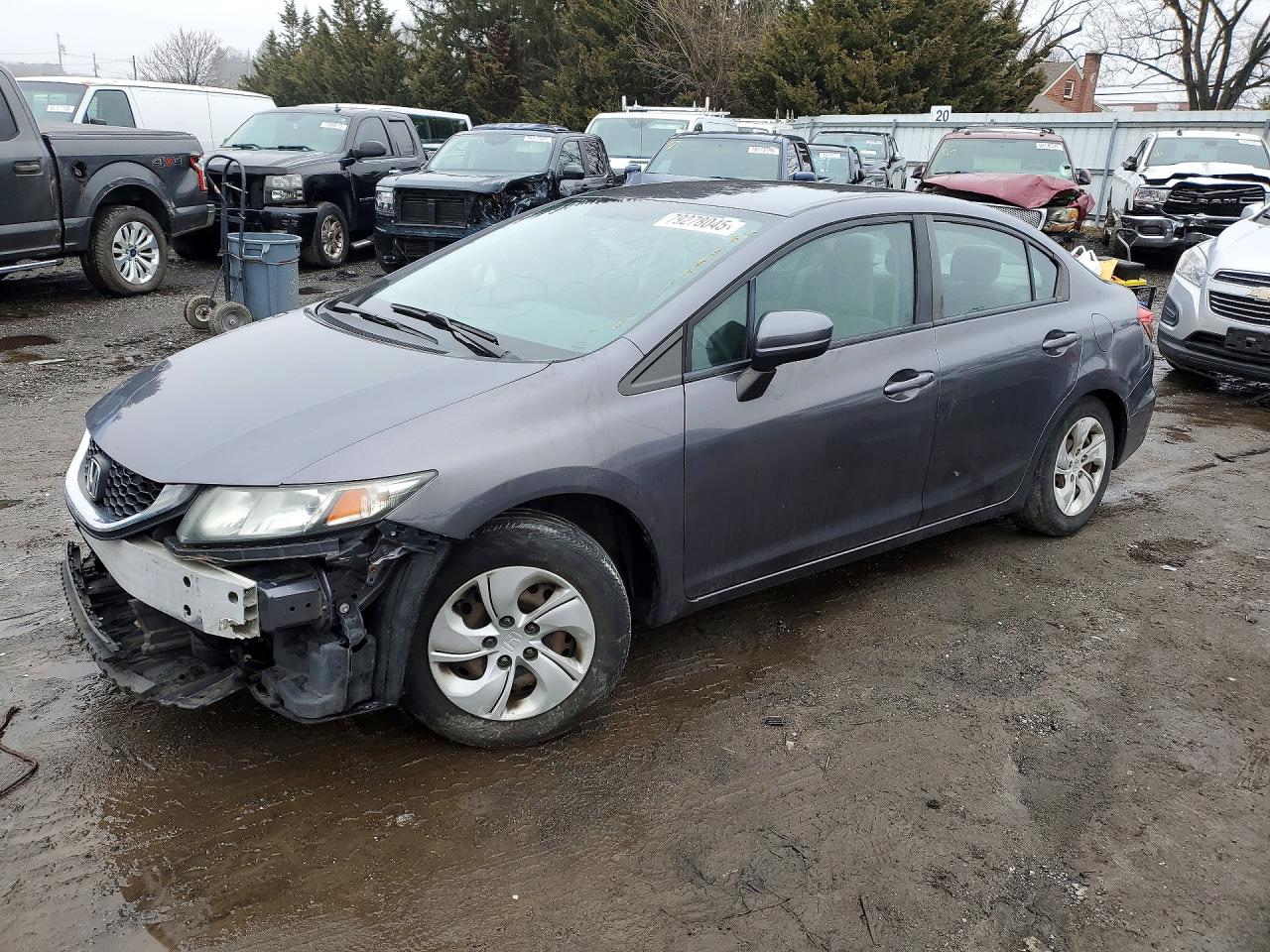 Salvage Honda Civic Image