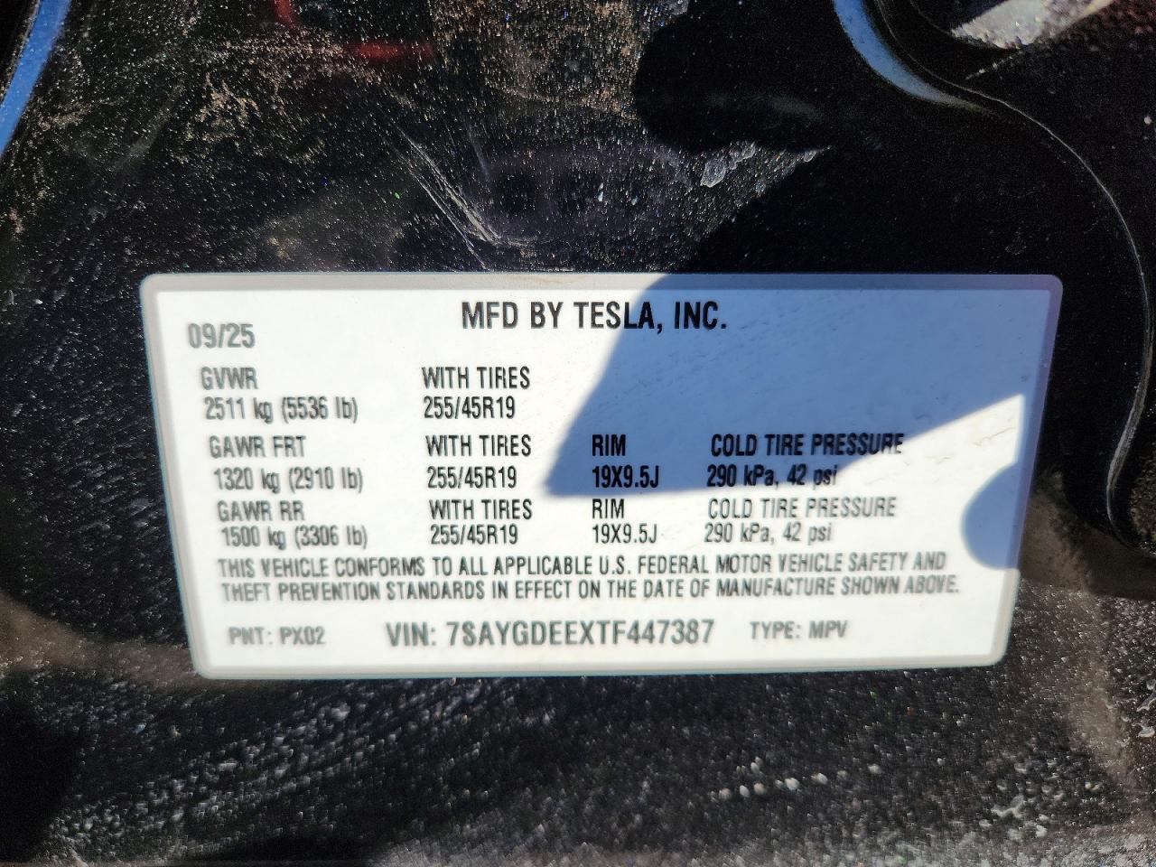 Tesla Model Y