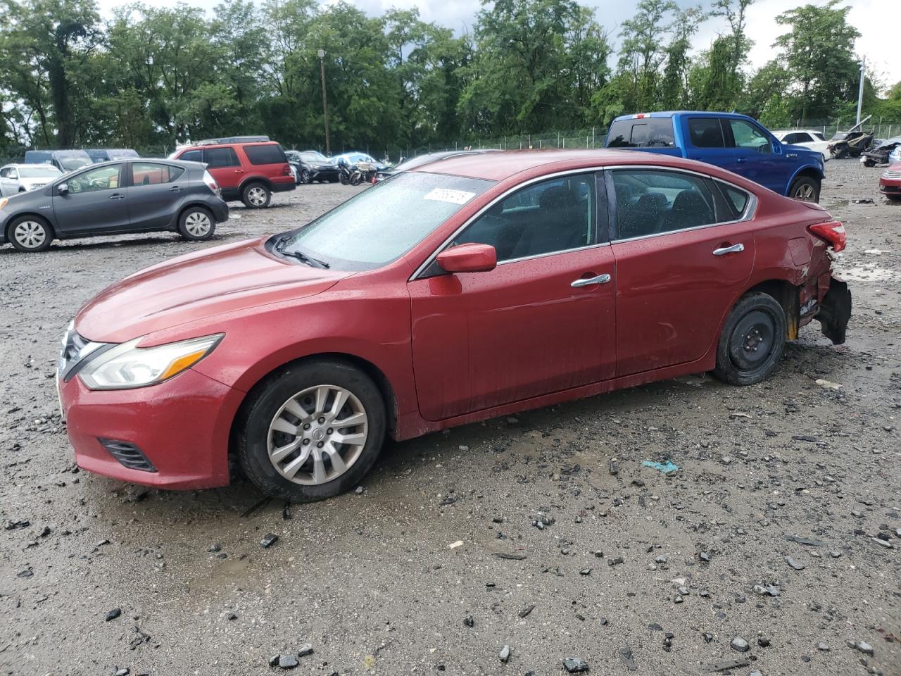 Salvage Nissan Altima Image