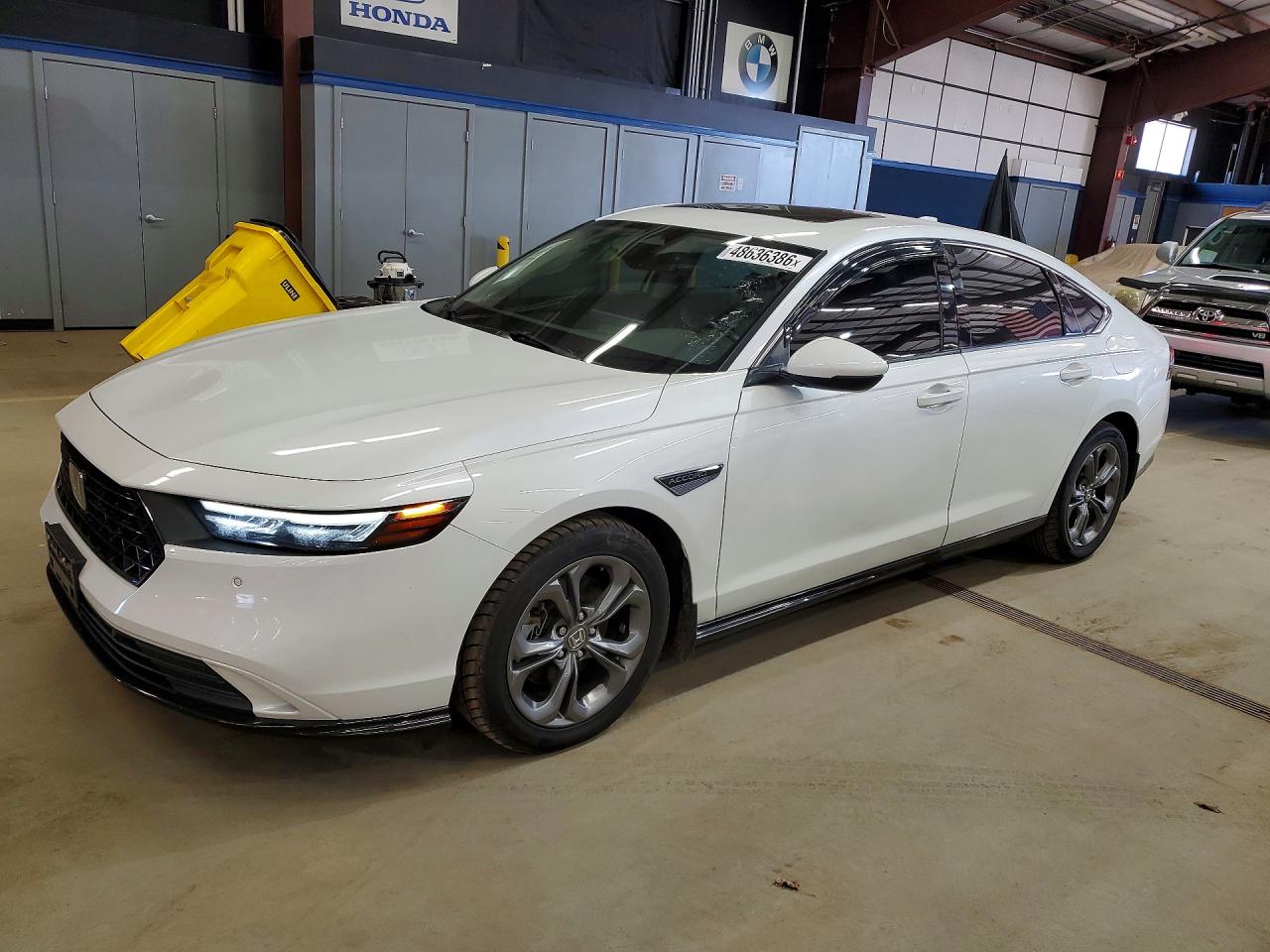 Salvage Honda Accord Image