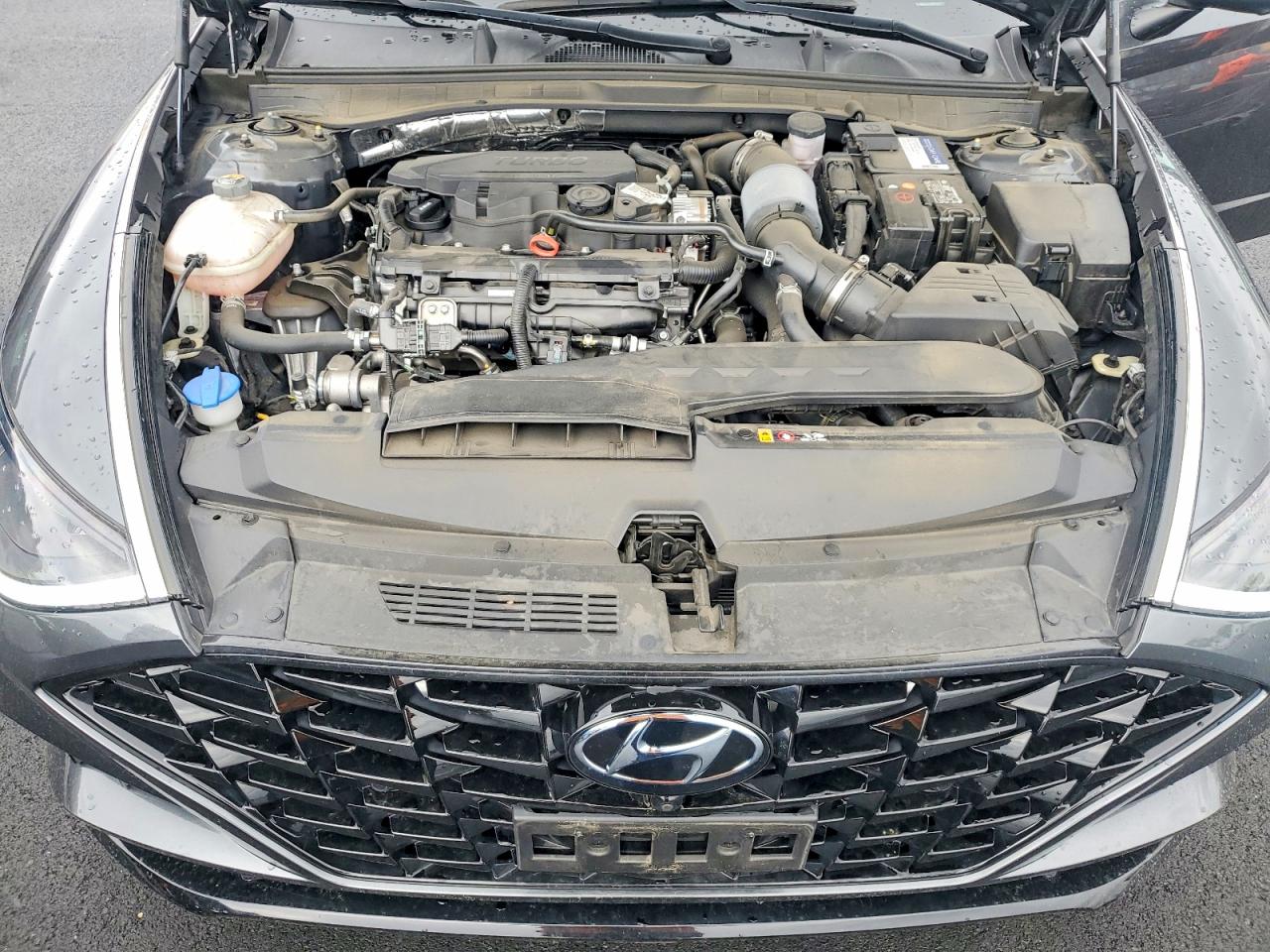Hyun SONATA