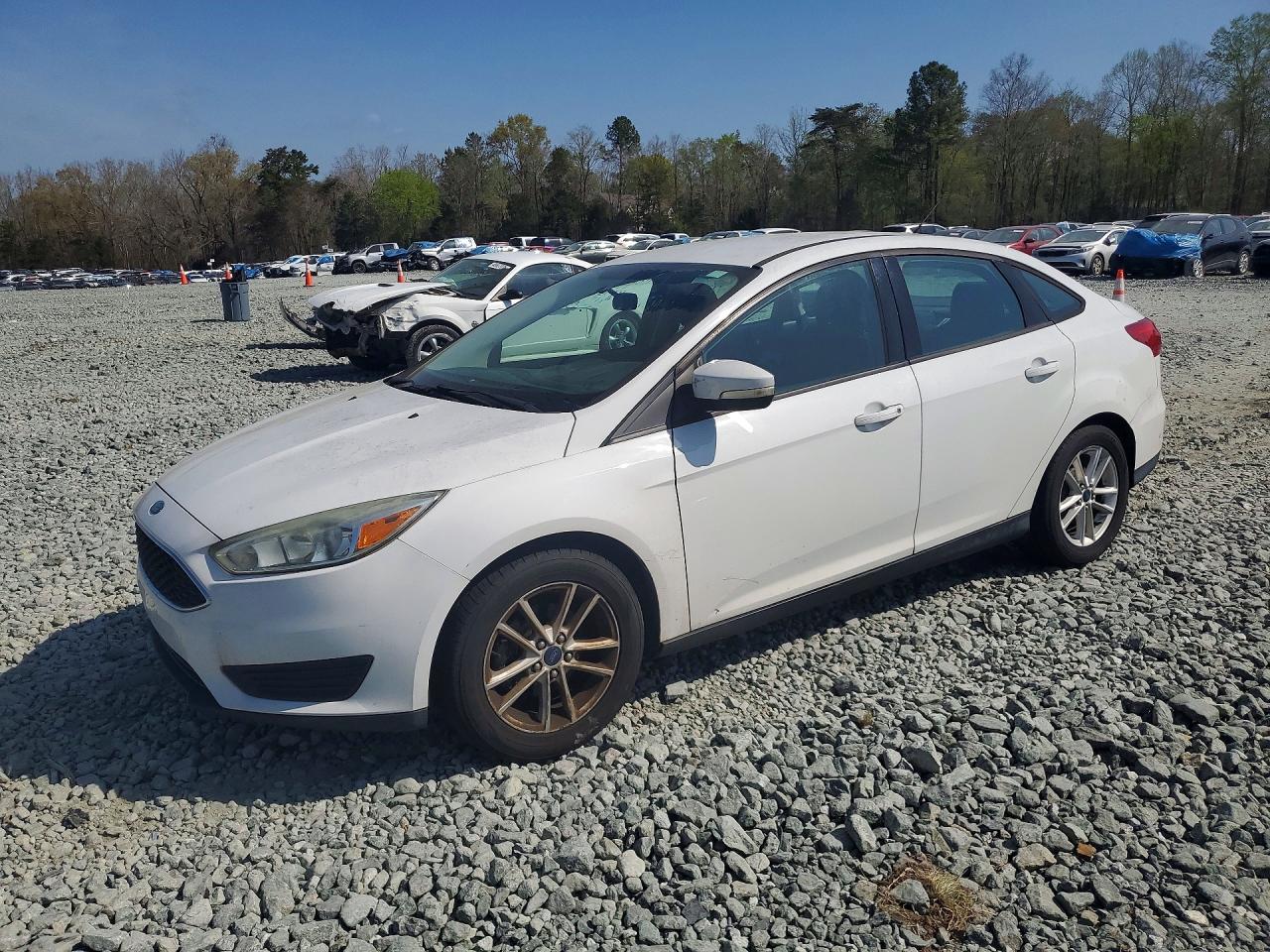 Salvage Ford Focus Image