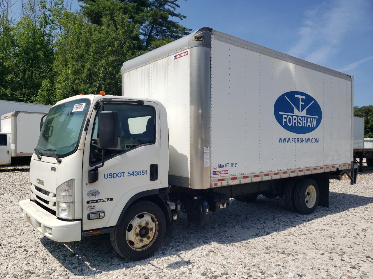 Salvage Isuzu Nqr Image