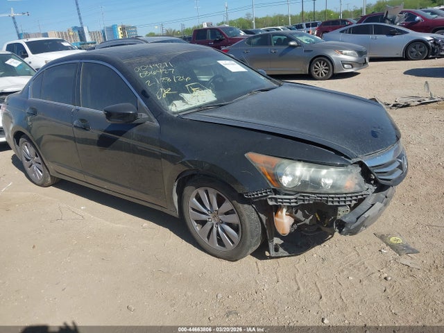 Salvage Honda Accord Image