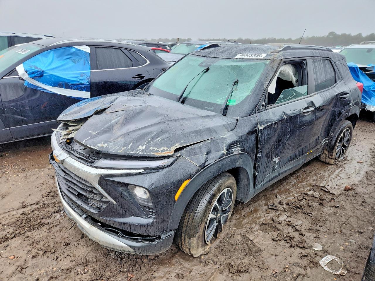 Salvage Chevrolet Trailblaze Image