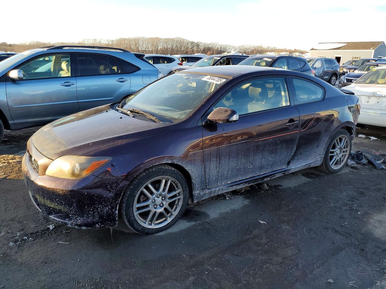 Salvage Toyota Scion Image