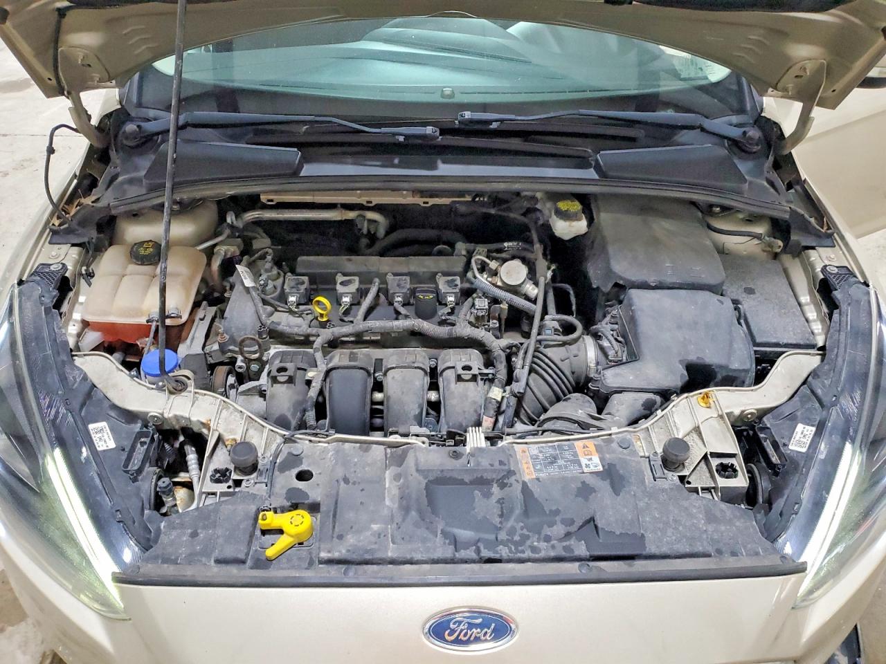 Ford Focus Sel