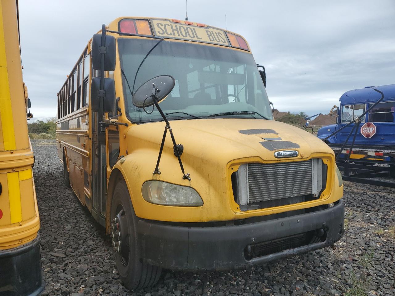 Salvage Freightliner Saf-t-liner C2 Image