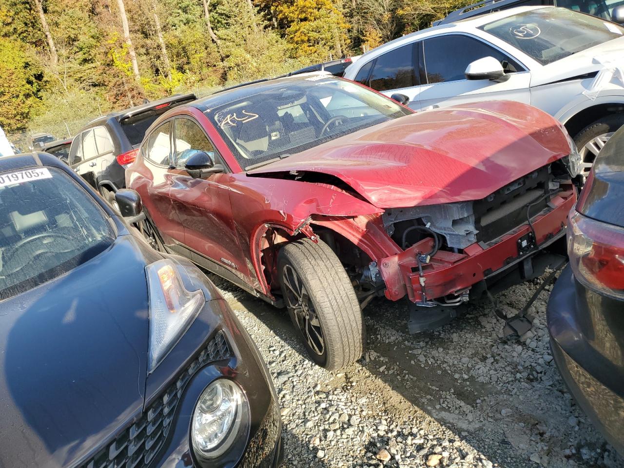 Ford Mustang Premium