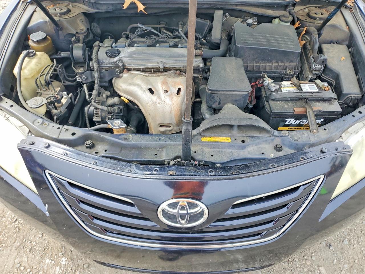 Toyota Camry Xle