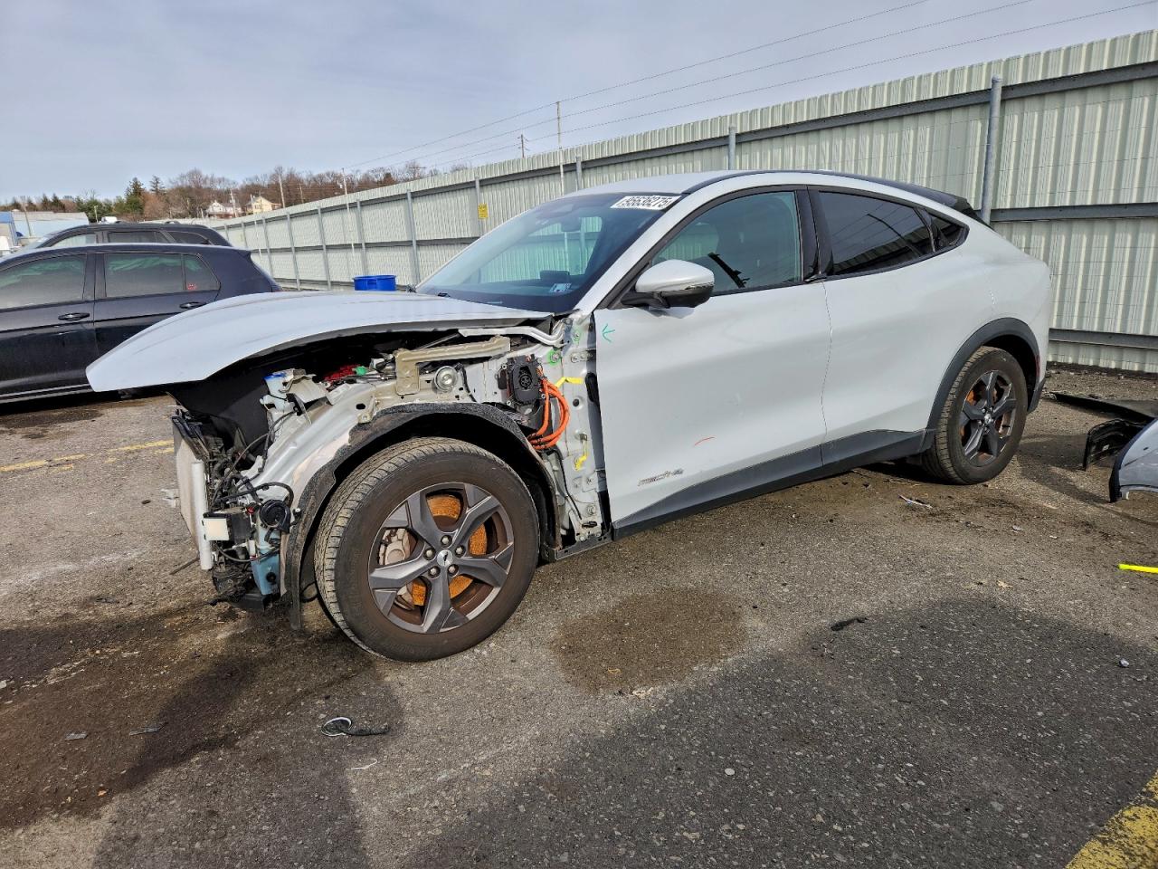 Salvage Ford Mustang Image
