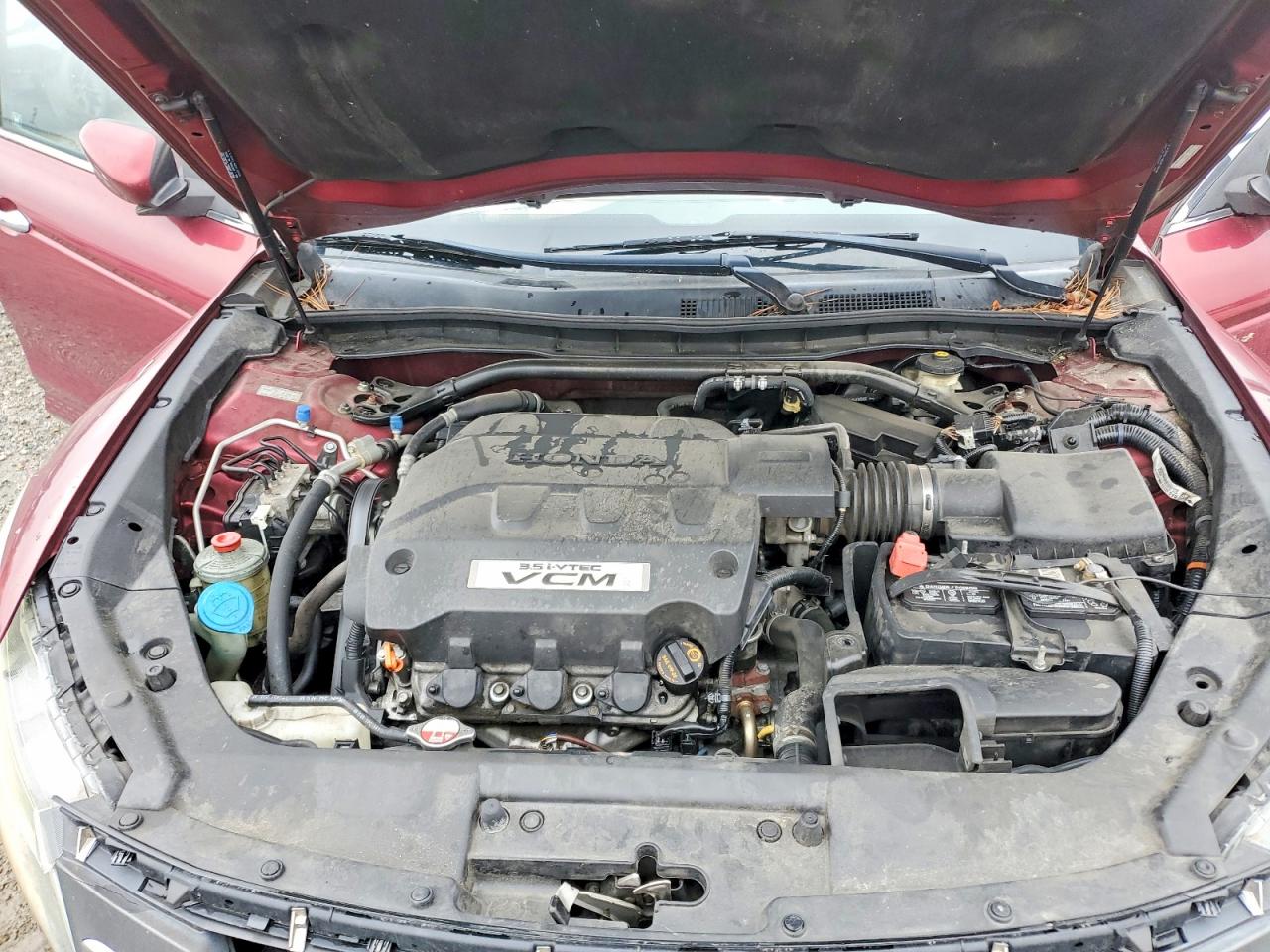 Honda Accord Exl