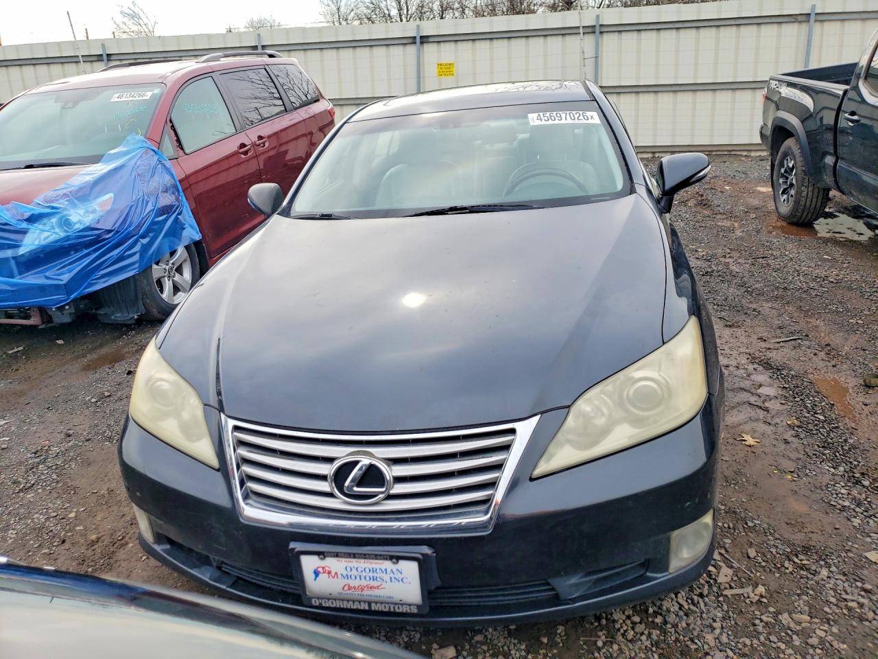 Lexus Es Base