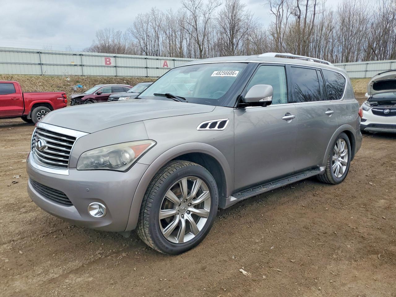 Salvage INFINITI Qx Image