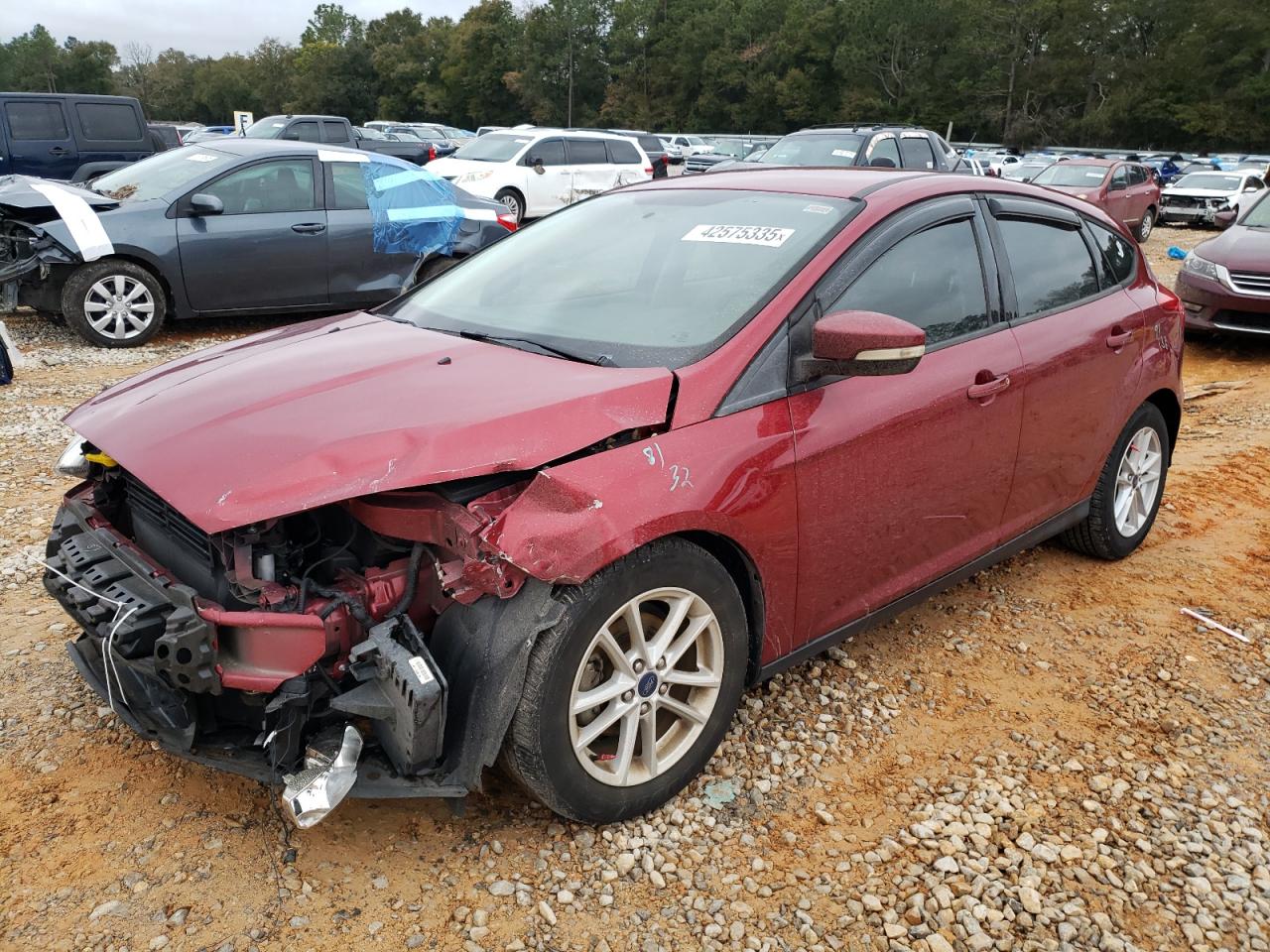 Salvage Ford Focus Image