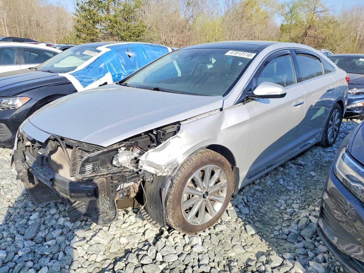 Salvage Hyundai SONATA Image