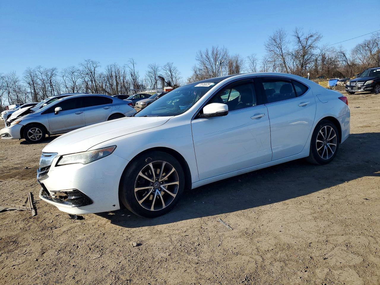 Salvage Acura TLX Image