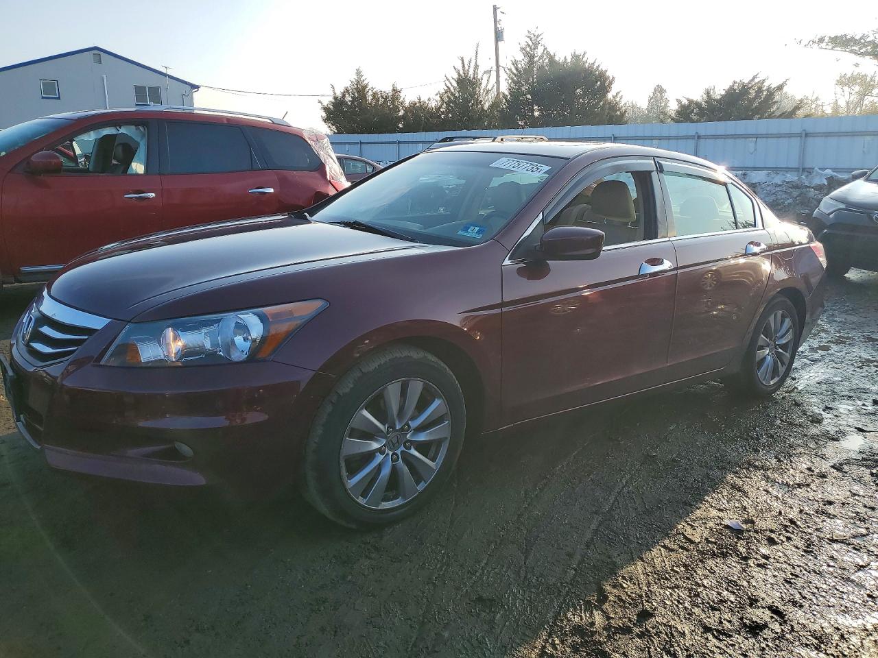 Salvage Honda Accord Image